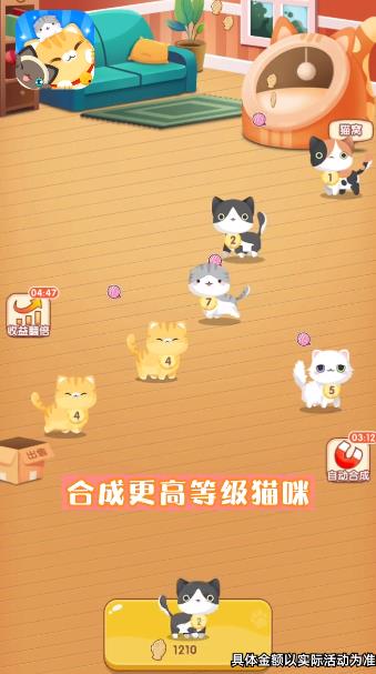 幸福猫咪社app最新版截图2