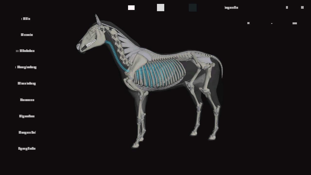 马匹解剖模拟器3d官方版3D Horse Anatomy Software截图2