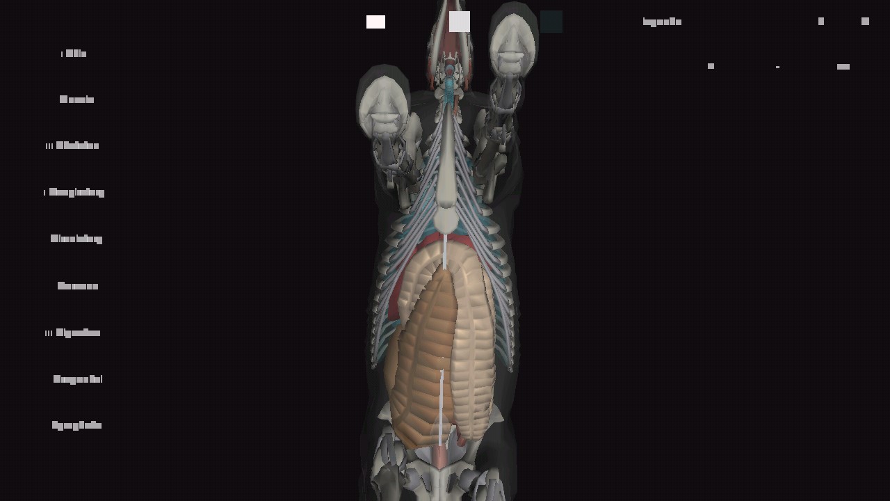 马匹解剖模拟器3d官方版3D Horse Anatomy Software截图3