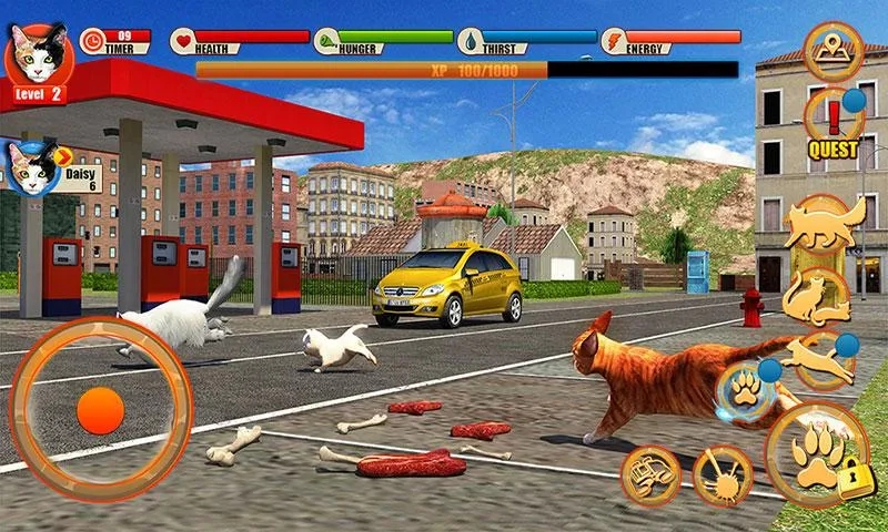 Street Cat Sim 2016街头猫咪模拟器官方版截图2