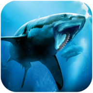 Helicoprion Simulator旋齿鲨模拟器汉化版