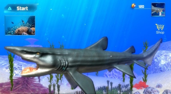 Helicoprion Simulator旋齿鲨模拟器汉化版截图3