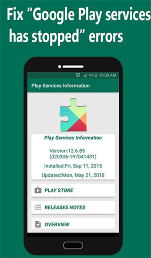 Play Services Info官方版