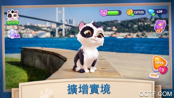 我的可爱猫咪最新版