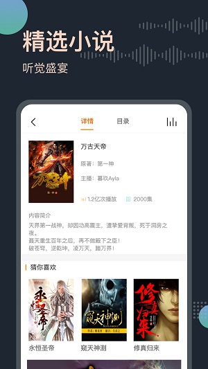 听书王永久免费版截图4