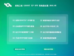 系统之家 GHOST XP SP3 装机稳定版 2016.03