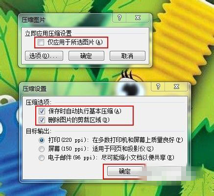 win7系统中的word文档图片不显示怎么回事